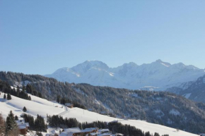 La Perle Des Alpes C2